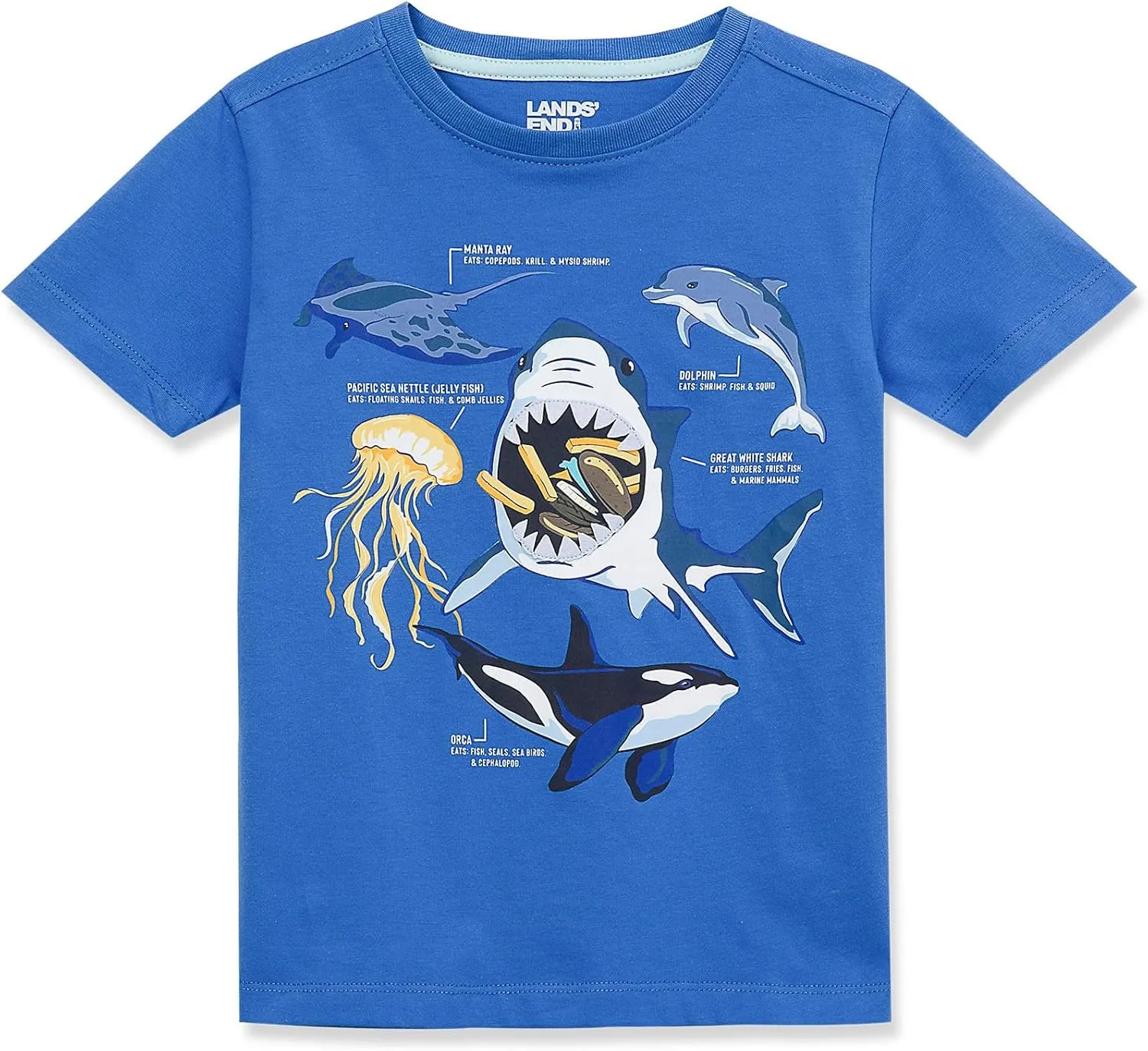 Lands' End Boys Husky Short Sleeve Graphic Tee