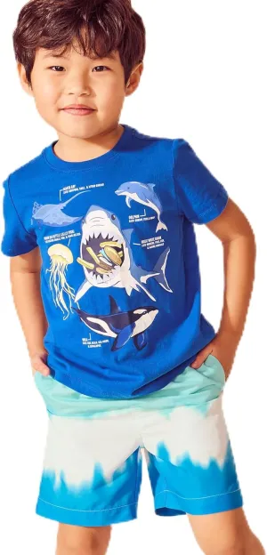Lands' End Boys Husky Short Sleeve Graphic Tee